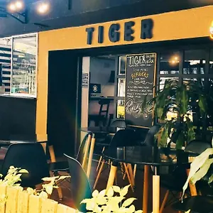  Hostel Tiger